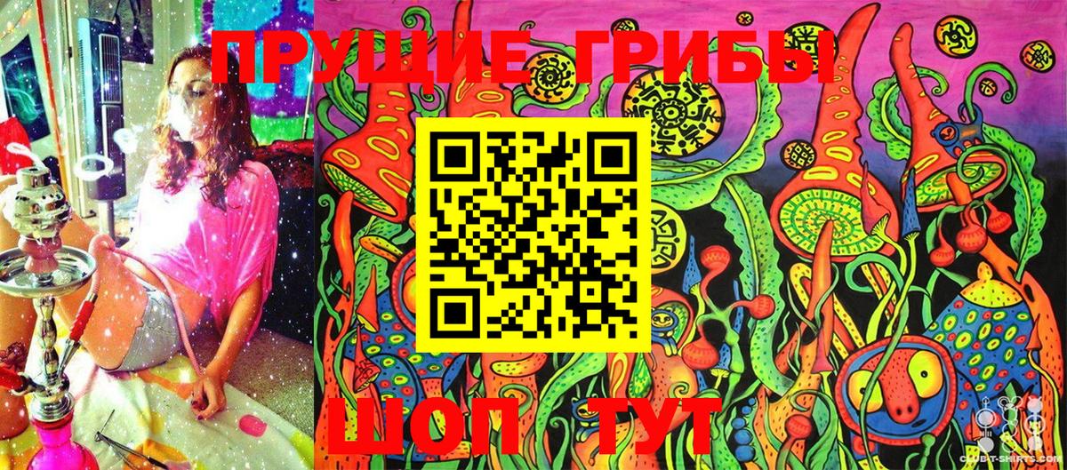 Псилоцибиновые грибы Cubensis  Вход с VPN  Гусь-Хрустальный 